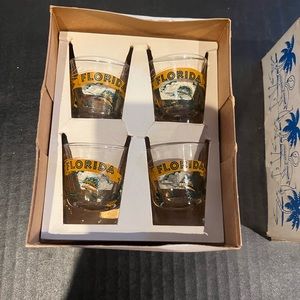 Florida shot glasses, set of 4, vintage in original 1960s box